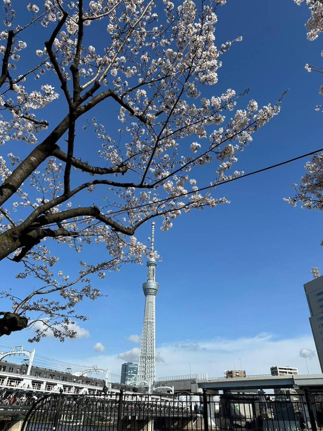 東京雷門ー千の森asakusa Tokyo Exterior photo